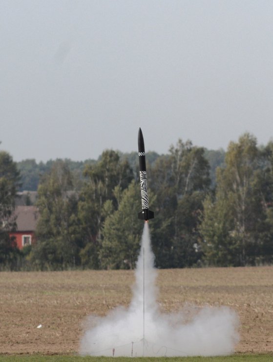 Marty Jojo Homola - let